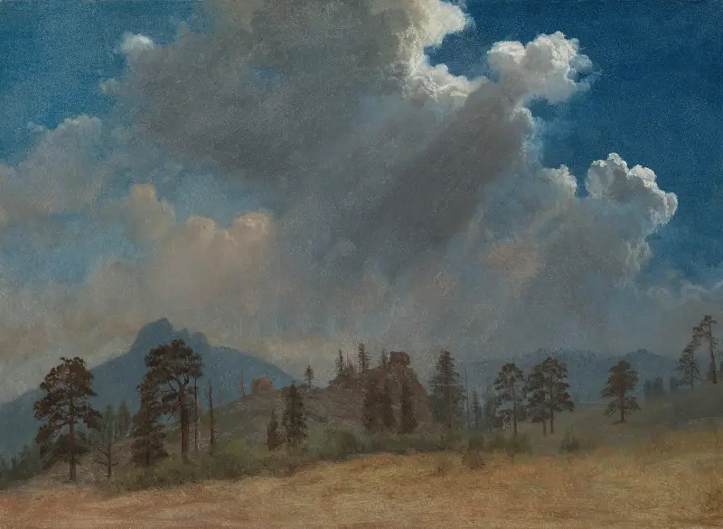 Fir Trees and Storm Clouds av Albert Bierstadt
