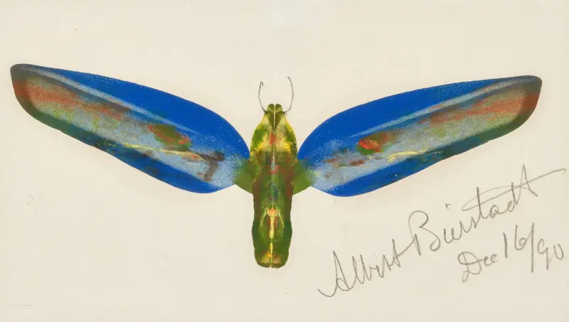 Moth av Albert Bierstadt