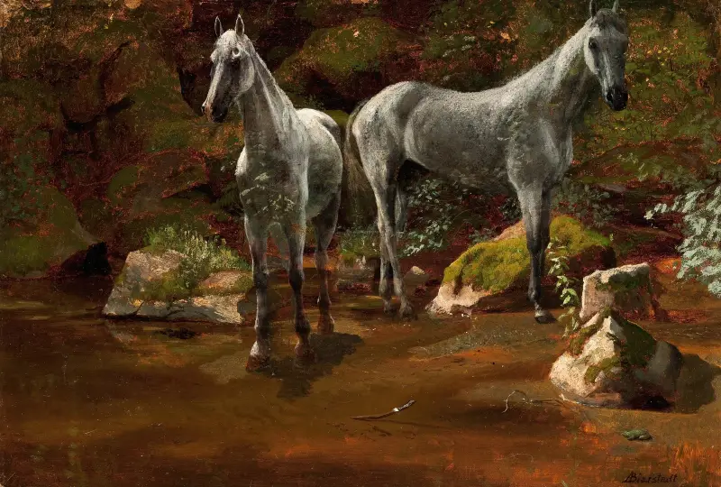 Studie av vilda hästar av Albert Bierstadt