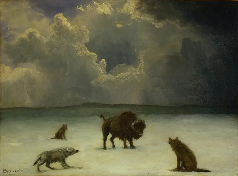 In der Falle von Albert Bierstadt