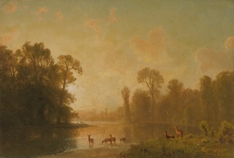 Dämmerung mit Hirschen von Albert Bierstadt
