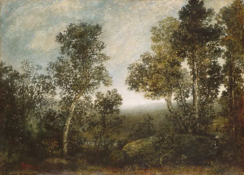 Landschaft, 1885 von Ralph Albert Blakelock