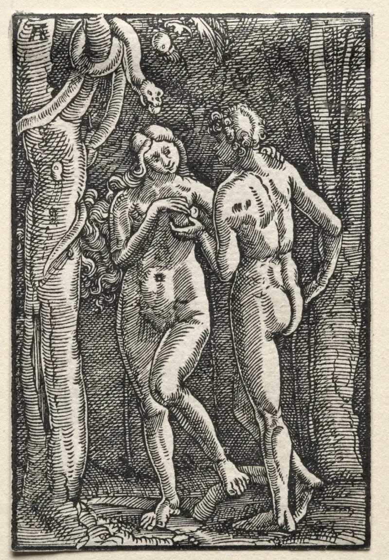 Adam and Eve Eating the Forbidden Fruit av Albrecht Altdorfer