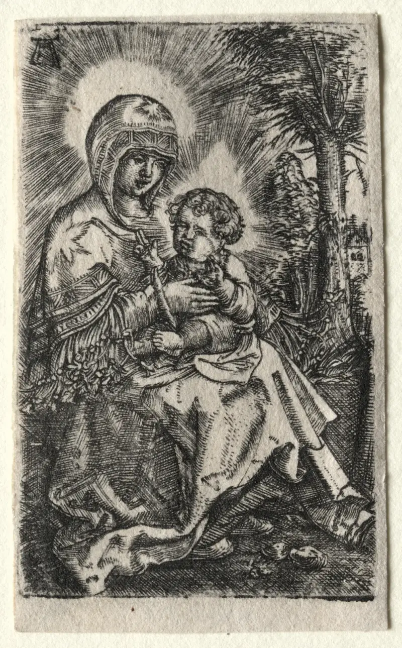 The Beautiful Virgin of Ratisbon in a Landscape av Albrecht Altdorfer