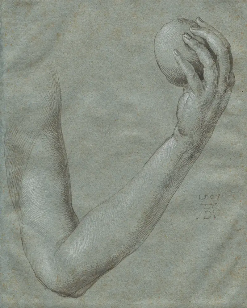 Evas arm av Albrecht Dürer