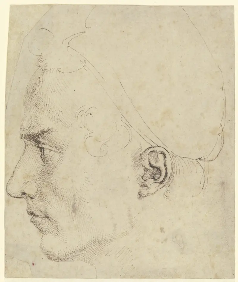 Male head in profile av Albrecht Dürer