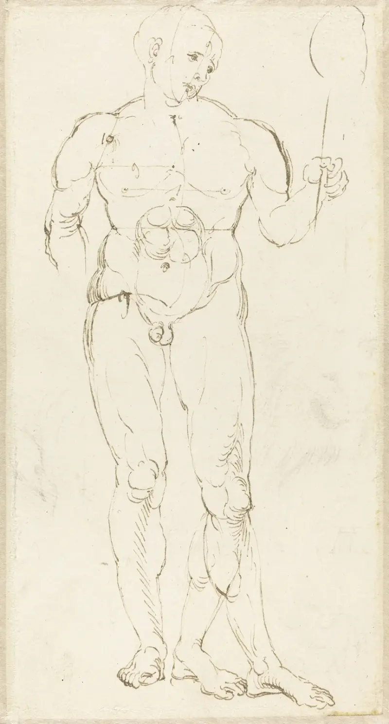 Male Nude Holding a Mirror (recto) av Albrecht Dürer