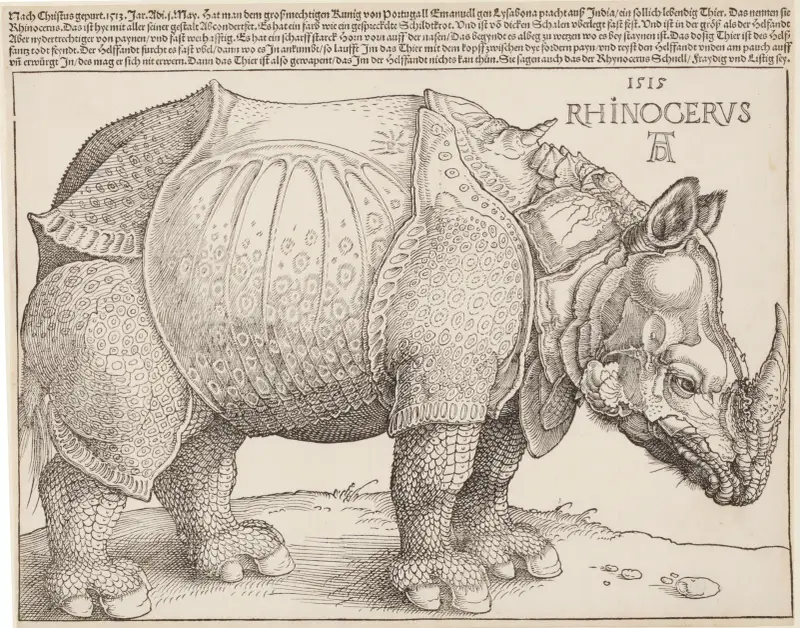 Nosorožec, Albrecht Dürer