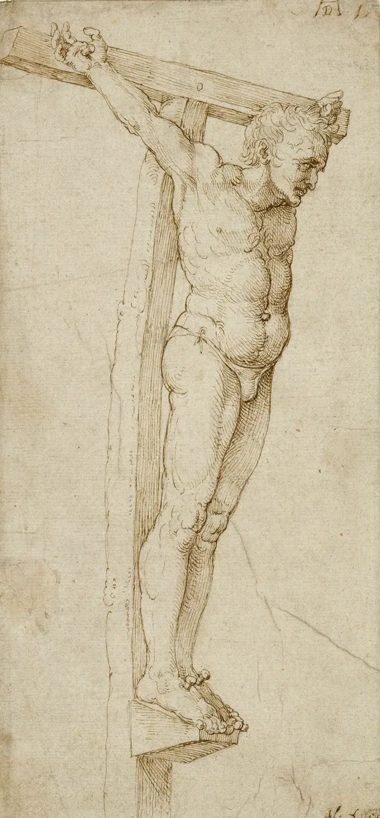 Study of the Good Thief av Albrecht Dürer