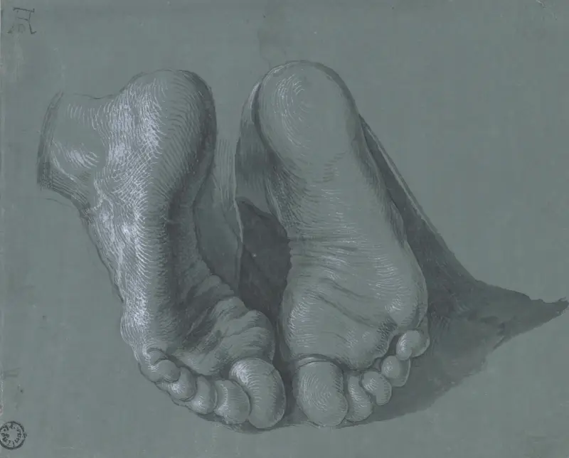 Studie av två fötter av Albrecht Dürer