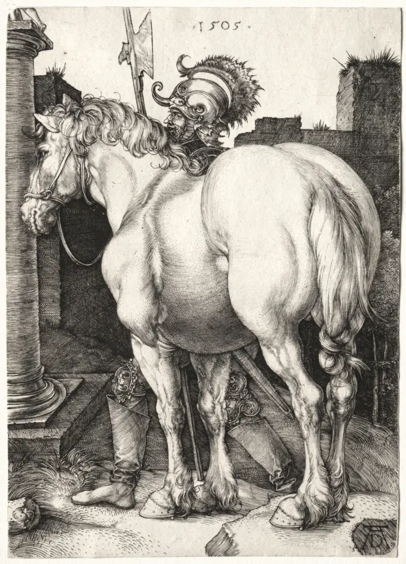 Der große Hengst von Albrecht Dürer