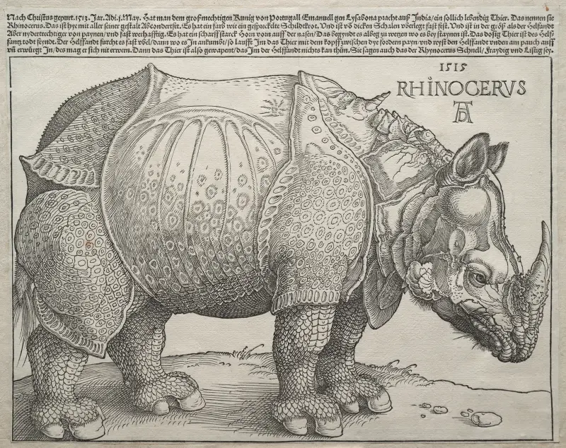 The Rhinoceros, 1515 – nr 1 av Albrecht Dürer