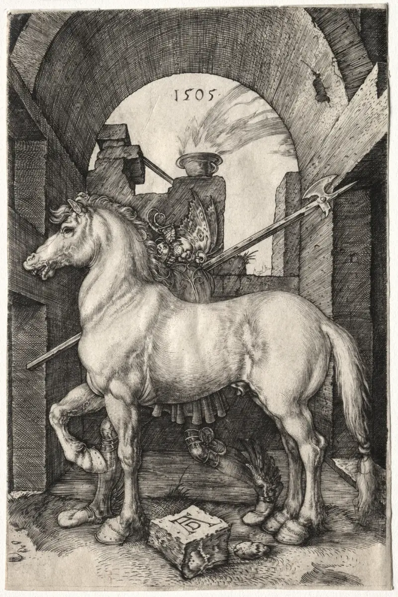 Das kleine Pferd von Albrecht Dürer