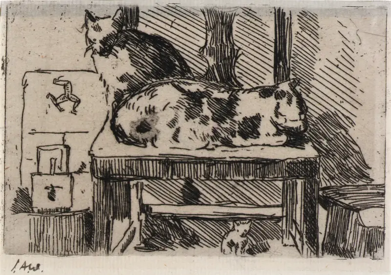 Manx-katter – Isle of Man av Julian Alden Weir