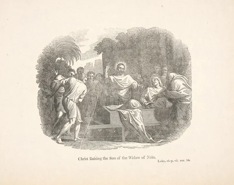 Christ raising the son of the widow of Nain. av Alexander Anderson