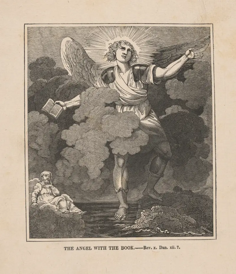 The angel with the book av Alexander Anderson