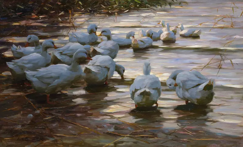 Ankor i en damm av Alexander Koester