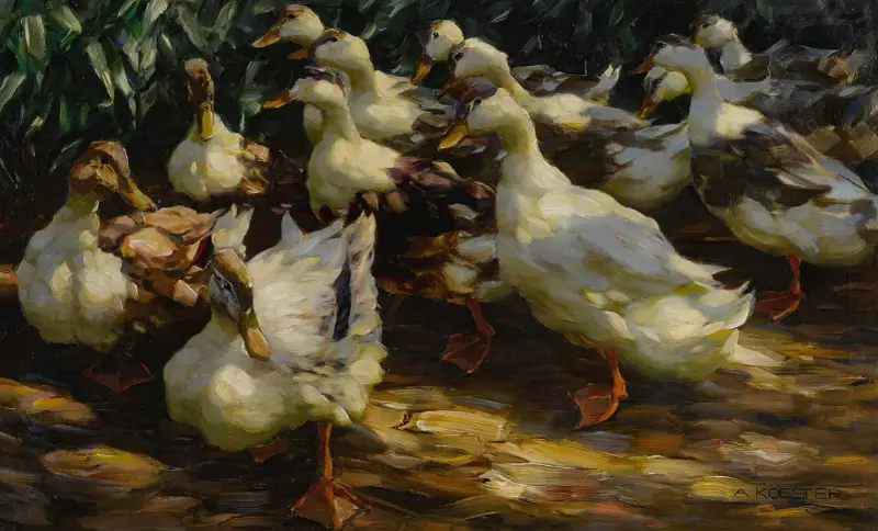 Ankor i solljus av Alexander Koester