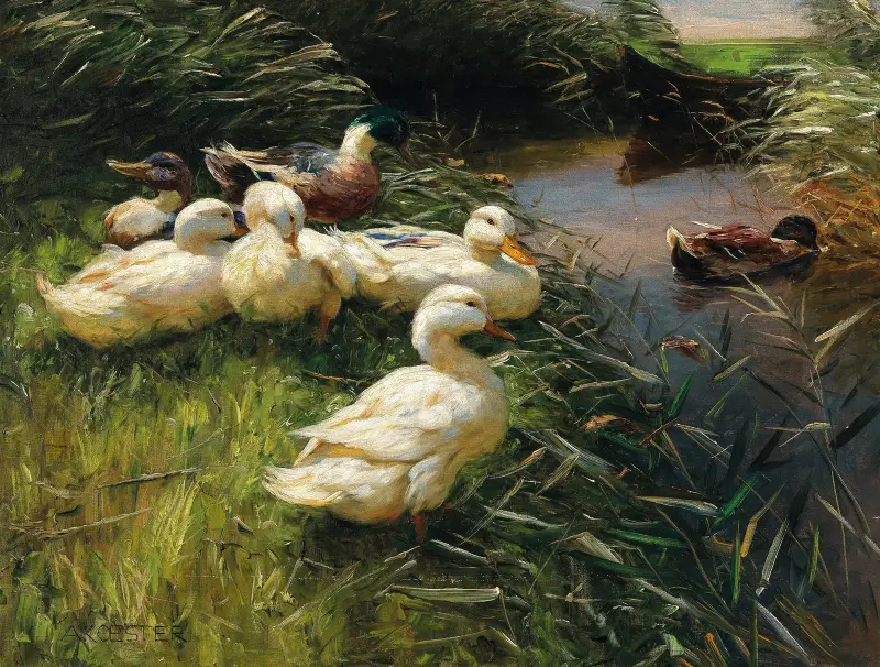 Ducks on the Lakeside in Reeds with a Boat av Alexander Koester