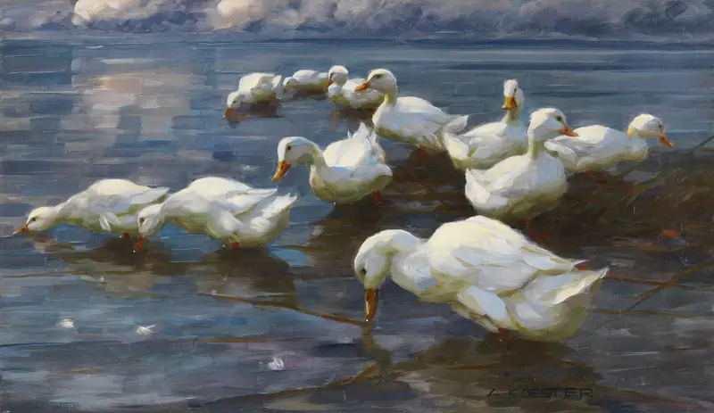 Enten am Seeufer av Alexander Koester