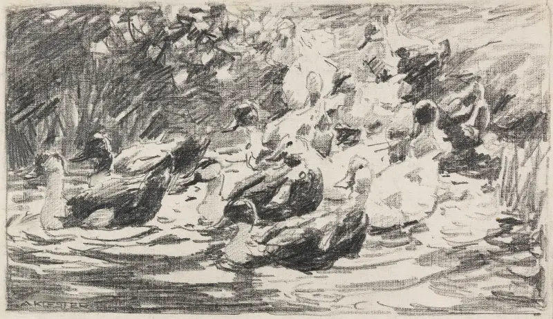 Änder i dammen av Alexander Koester