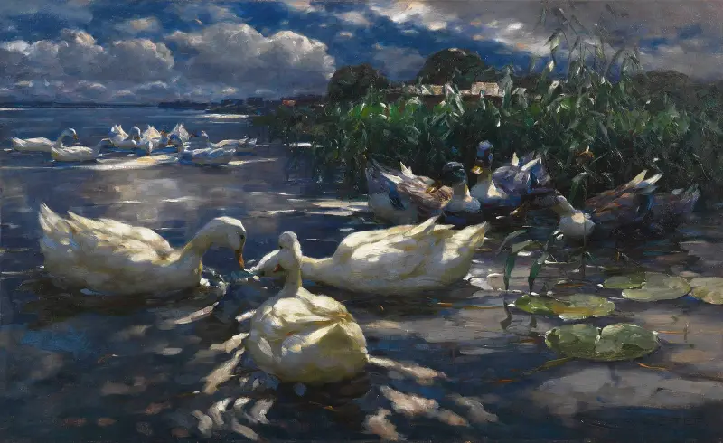 Ankor, Reichenau av Alexander Koester