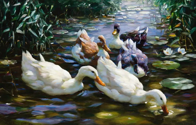 Fünf Enten von Alexander Koester