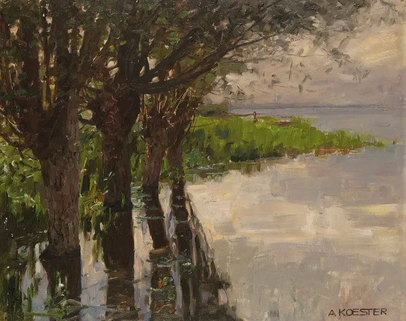 Reichenau, Weiden am See, Sonne av Alexander Koester