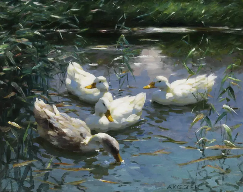 Vier Enten im Teich av Alexander Koester