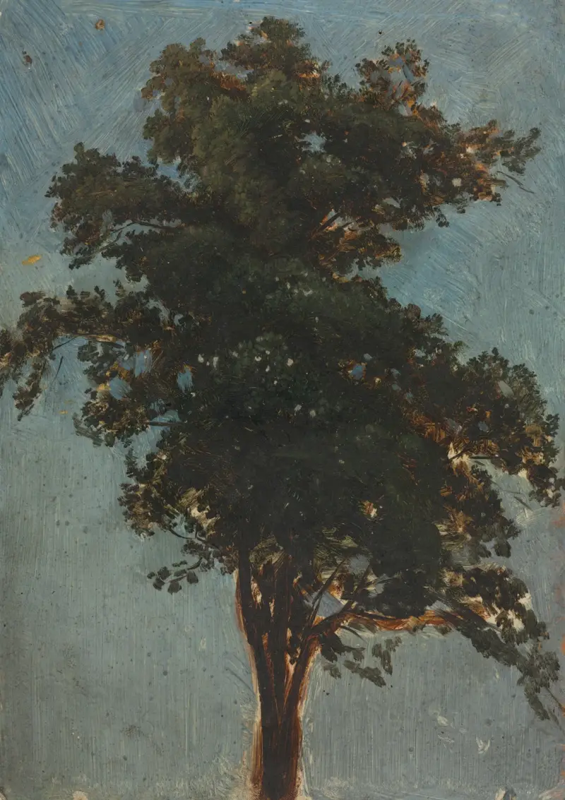 Studie stromu, Alexandre Calame
