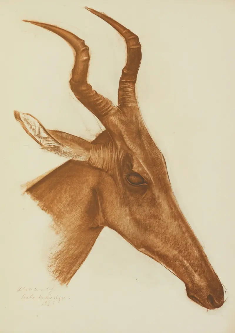 Antilope (Am Dafok) von Alexandre Jacovleff