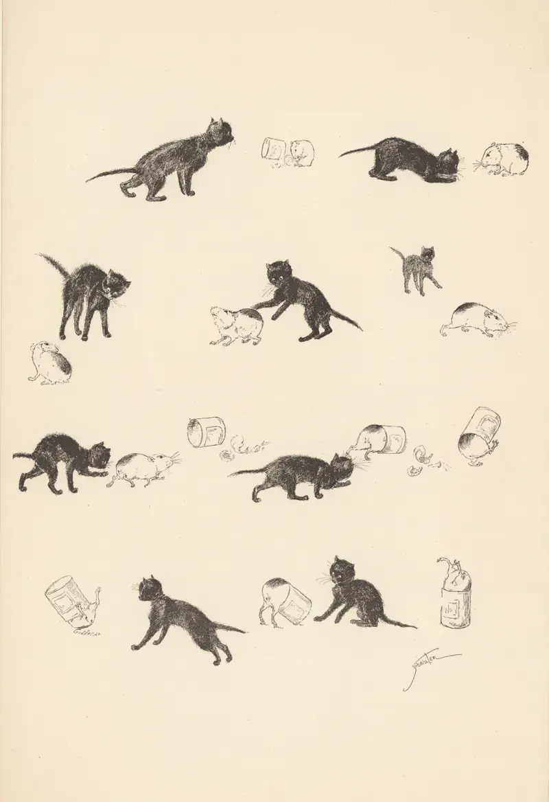 Katten och marsvinet av Théophile Alexandre Steinlen