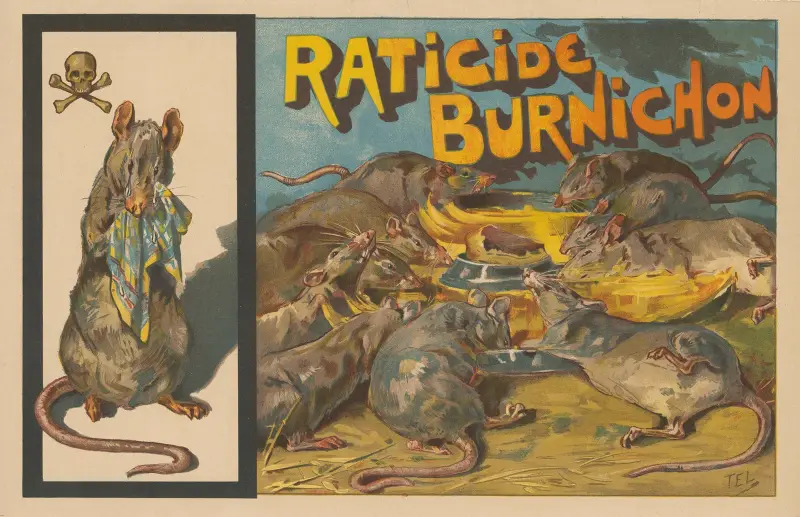 Raticide, Burnichon, Théophile Alexandre Steinlen