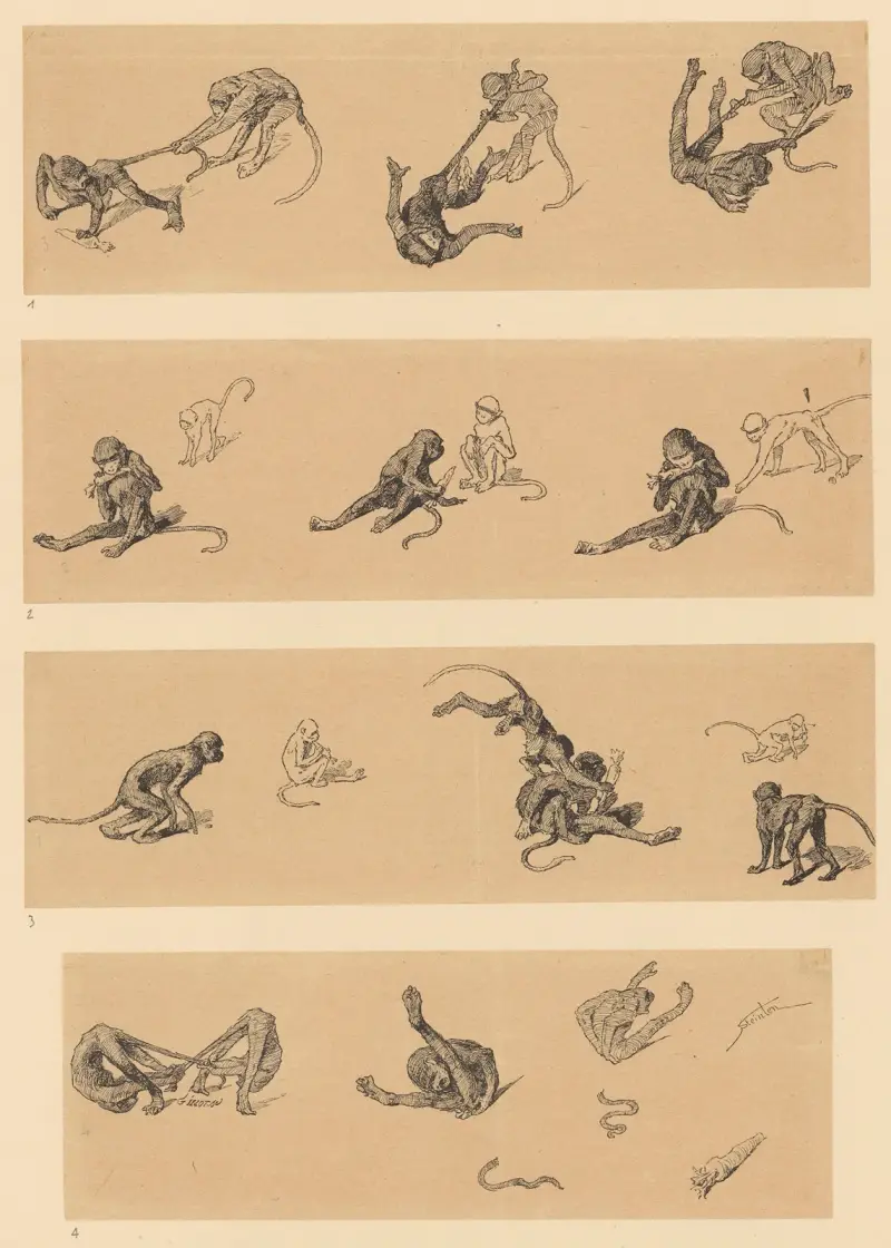 Singes av Théophile Alexandre Steinlen