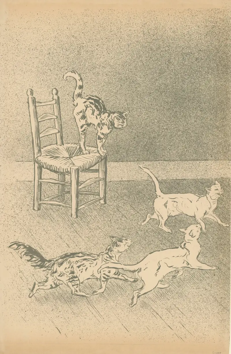 Baksida av omslaget till albumet 'Des chats par Steinlen' av Théophile Alexandre Steinlen
