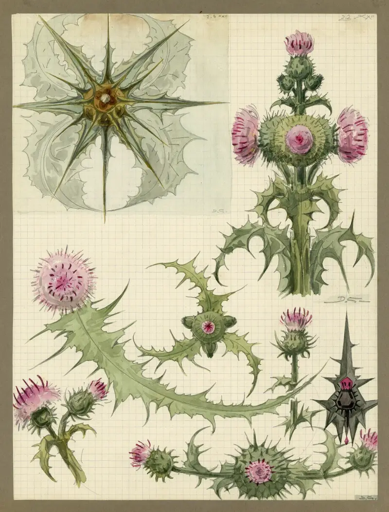 Die Distel, 1922 von Alfred Ost