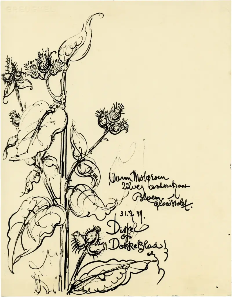 Distel, zweite Sorte, 1939 von Alfred Ost