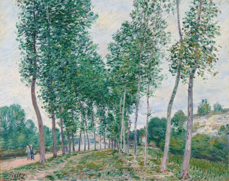 Poppelallén vid Loings strand av Alfred Sisley