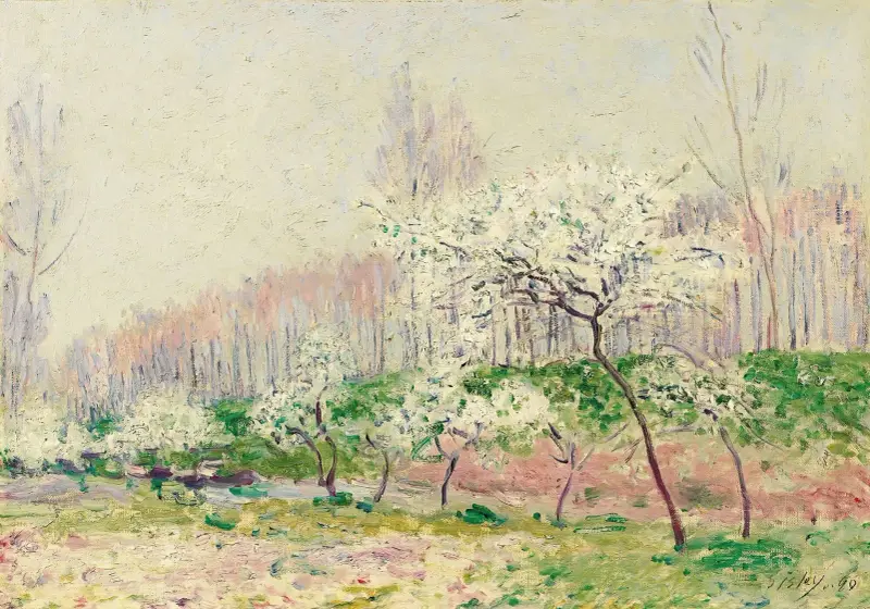 Les Pommiers En Fleurs av Alfred Sisley