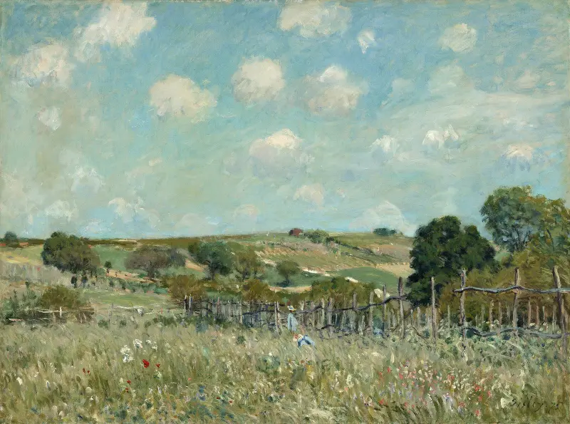 Wiese von Alfred Sisley