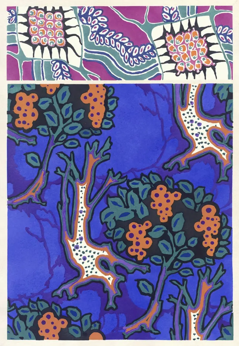 Floréal; dessins & coloris nouveaux Pl.17 av Emile-Allain Séguy