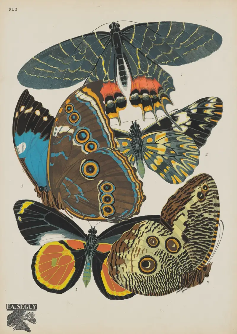 Papillons Pl.02 av Emile-Allain Séguy