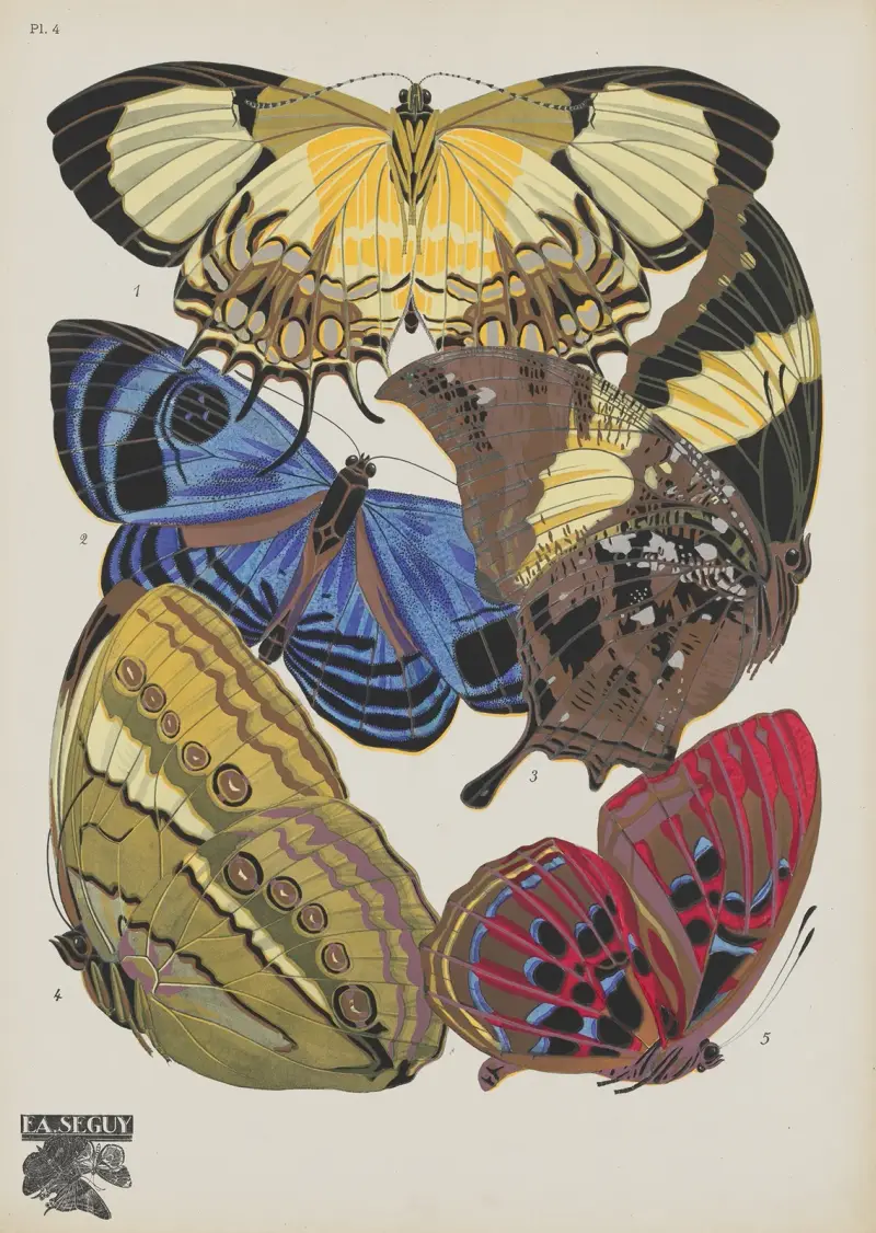 Papillons Pl.04 av Emile-Allain Séguy