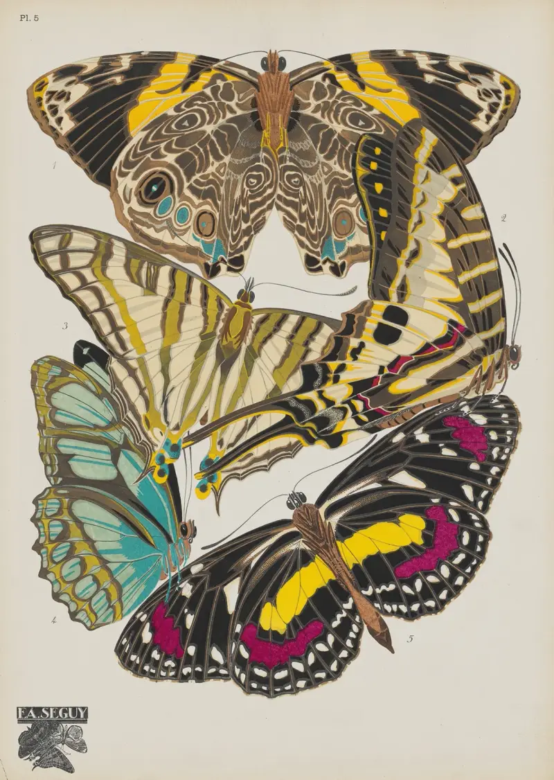 Papillons Pl.05, Emile-Allain Séguy
