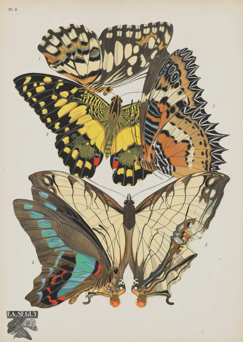Papillons Pl.09 von Emile-Allain Séguy