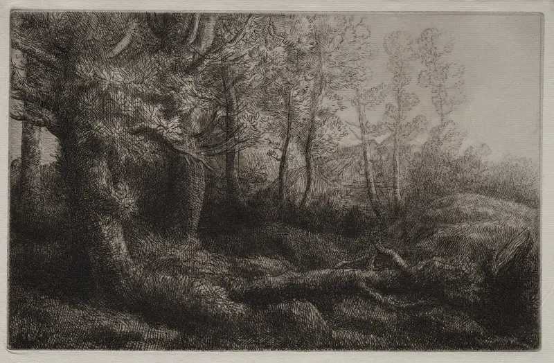Eine Waldstudie von Alphonse Legros