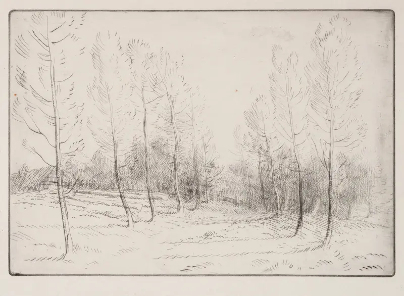 Poppelallén av Alphonse Legros
