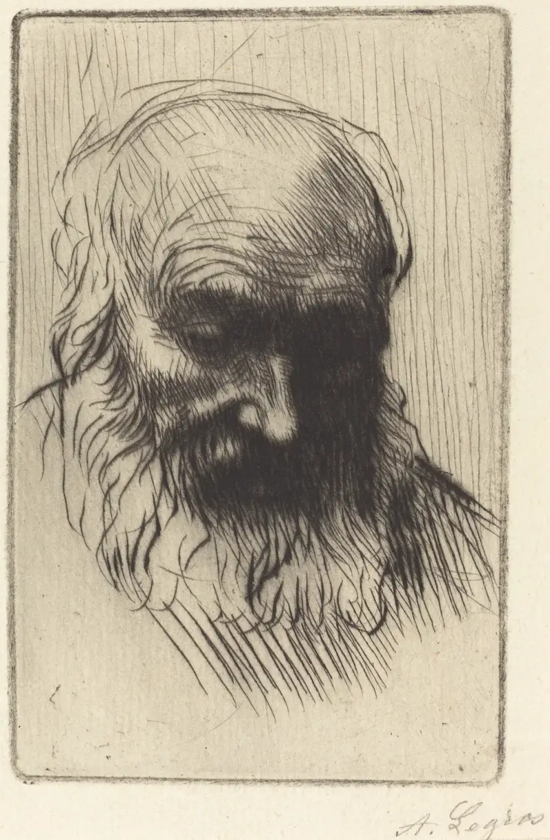 Huvud av en gammal man (Etude de tete) II av Alphonse Legros