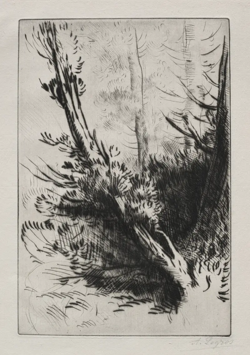 I skogen av Alphonse Legros
