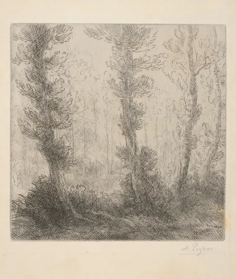 Krajina se stromy, Alphonse Legros